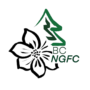logo transparent